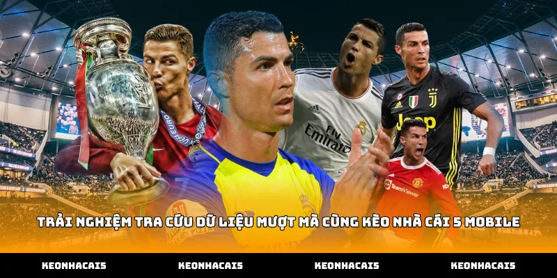 Trải nghiệm tra cứu dữ liệu mượt mà cùng Kèo Nhà Cái 5 mobile