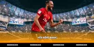 Tìm hiểu bản chất kèo đồng banh trong cá cược bóng đá trực tuyến